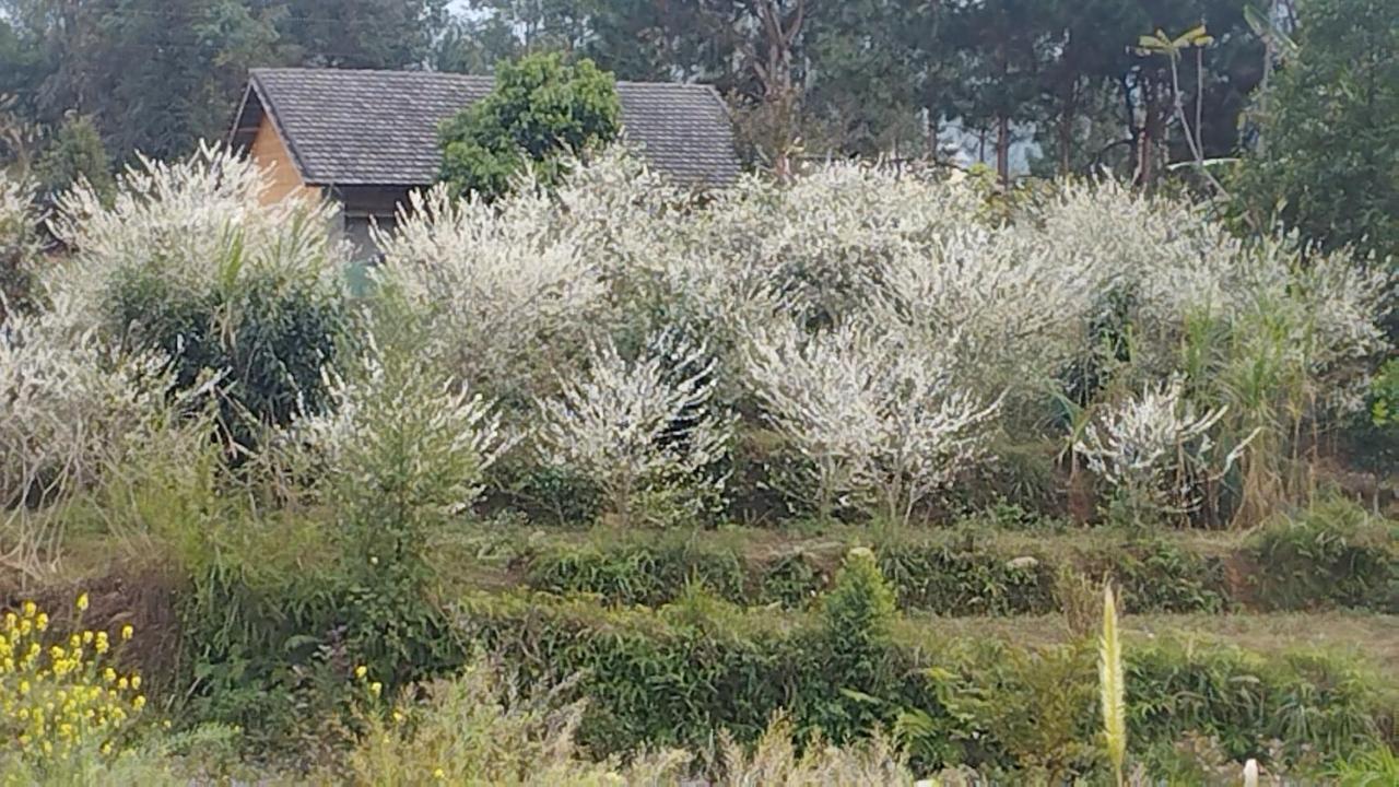 Huy Man Homestay Ha Giang Bagian luar foto